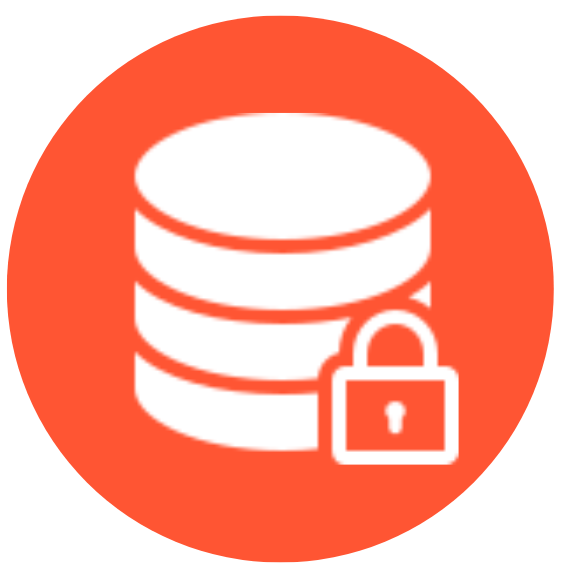 Data-in-Use Encryption
